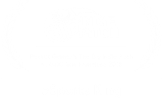 logo-award-cube-esportking